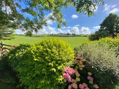 A garden with green bushes and pink flowers overlooking a grassy field with a house in the distance at Swallow Cottage in Port Isaac