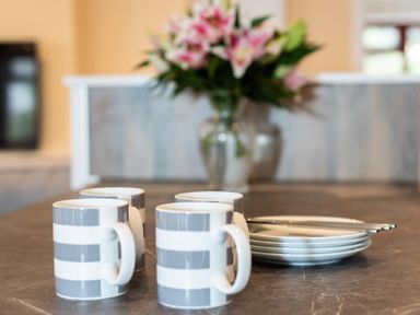 Four striped mugs and a stack of plates with cutlery on a kitchen counter with a flower vase in the background at Brookside in Polzeath