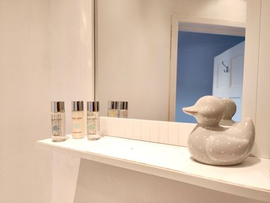 A bathroom shelf with small bottles of shampoo conditioner and body wash next to a ceramic duck at Squirrel Lodge in Keswick