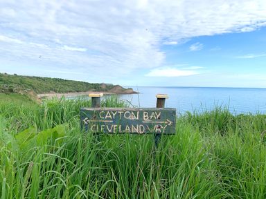 A wooden sign pointing to Cayton Bay and Cleveland Way in tall grass with a view of the coastline and sea at Meadow Lodge in Cayton