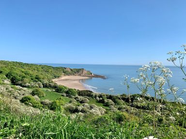 A coastal landscape with a sandy beach green trees and wildflowers overlooking the sea at Meadow Lodge in Cayton