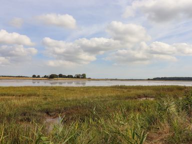 A marshland with tall grasses and water under a partly cloudy sky at The Old Custom House in Wangford