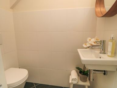 A small bathroom with a toilet a sink a rolled towel a potted plant and a soap dispenser at South Bay House in Scarborough