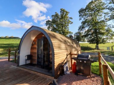 A wooden pod with a small porch and a barbecue grill outside in a grassy area at Goose Pod Near Clifton Upon Teme