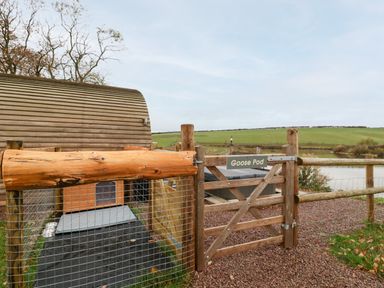 A wooden fenced gate with a sign saying Goose Pod next to a curved wooden structure near a pond and green fields at Goose Pod Near Clifton Upon Teme