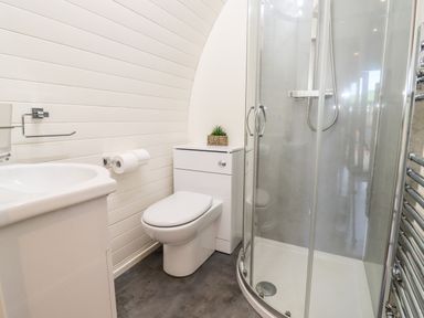 A bathroom with a toilet sink and a glass shower at Gander Pod Near Clifton Upon Teme