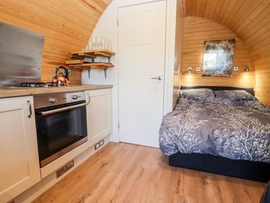 A small room with a kitchen area featuring an oven and stove and a bed with patterned bedding at Gander Pod Near Clifton Upon Teme