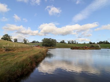 A lake with grassy banks and an island surrounded by fields and trees at Gander Pod Near Clifton Upon Teme