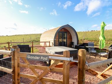 An outdoor area with a wooden pod cabin hot tub chairs table and umbrella at Gander Pod Near Clifton Upon Teme