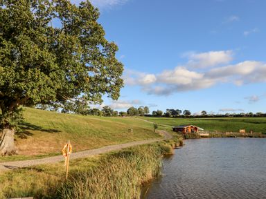 A lake with grass and reeds along its edge a gravel path a large tree and a wooden building in the distance at Gander Pod Near Clifton Upon Teme