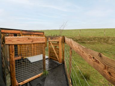 An outdoor wooden fenced area with wire mesh and a small gate overlooking a grassy field at Gander Pod Near Clifton Upon Teme