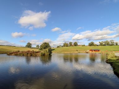 A lake with a small wooden cabin on the shore and grassy hills with trees in the background at Cedar Cabin Near Clifton Upon Teme
