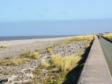 A coastal pathway beside a rocky beach with grass at Cove House in Kinmel Bay