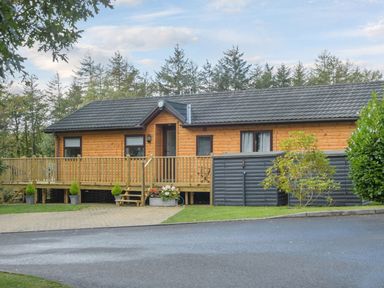 A wooden cabin with a railing porch and plants outside surrounded by trees at Oaks One Swarland near Felton