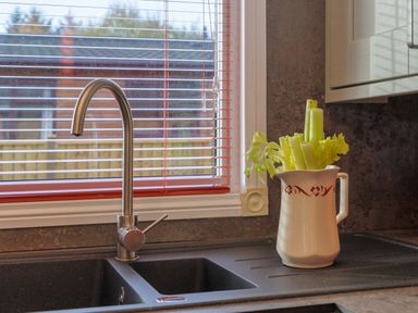 A kitchen sink with a stainless steel faucet and a ceramic pitcher holding celery stalks at Oaks One Swarland near Felton