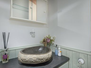 A bathroom sink made of stone with soap dispensers flowers and a mirror cabinet at Oaks One Swarland near Felton