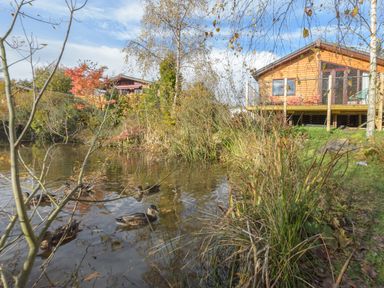 A pond with ducks swimming near wooden cabins surrounded by trees and grass at Oaks One Swarland near Felton