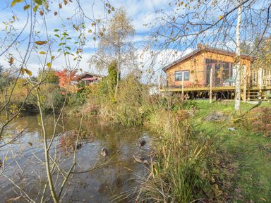 Cabin houses near a pond with ducks and trees at Oaks One Swarland near Felton
