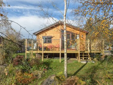 A wooden cabin with a glass railing deck and outdoor chairs surrounded by trees and grass at Oaks One Swarland near Felton