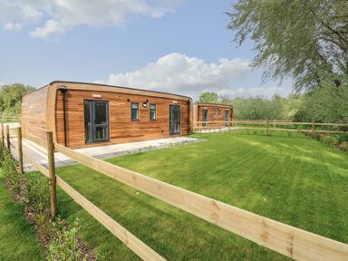 Two wooden lodges with fenced green lawns and trees under a blue sky at Pinot in Seaview
