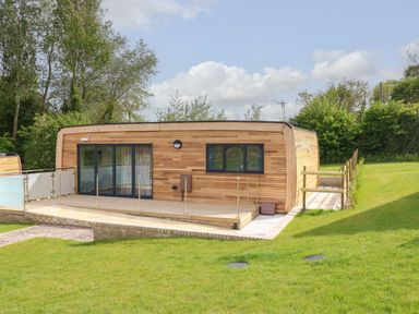 A wooden cabin with glass sliding doors and a deck surrounded by grass and trees at Pinot in Seaview