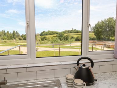 A kitchen window overlooking a grassy landscape with trees and a paved path with a black kettle and two striped mugs on the countertop at Pinot in Seaview