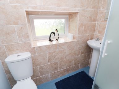 A small bathroom with a toilet sink window and penguin figurines on the window sill at 1 Roddam Rigg Cottage Roddam near Wooler