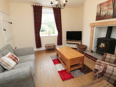 A living room with a gray couch a plaid armchair a wooden coffee table a television and a wood burning stove at 1 Roddam Rigg Cottage Roddam near Wooler