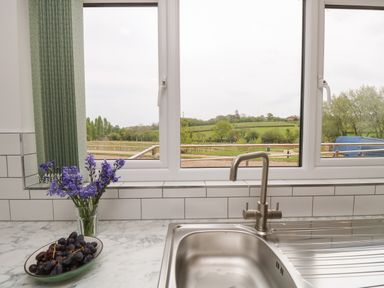 A kitchen sink with a faucet next to a bowl of grapes and a vase of purple flowers by a window showing a green field outside at Syrah in Seaview