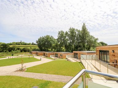 A group of wooden lodges with glass doors and metal railings surrounded by green lawns and gravel paths at Syrah in Seaview