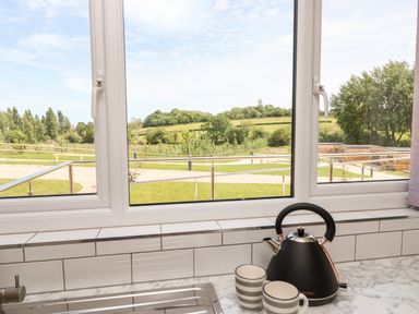 A kitchen window with a black kettle and two striped mugs on the counter overlooking a grassy yard and trees at Syrah in Seaview