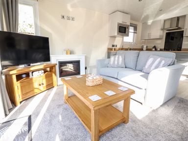 A living room with a gray sofa and wooden coffee table next to a wooden TV stand with a television and a white fireplace at Hawthorn Lodge in South Lakeland Leisure Village