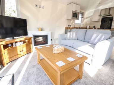 A living room with a wooden coffee table a grey sofa a TV on a wooden stand and a fireplace at Hawthorn Lodge South Lakeland Leisure Village