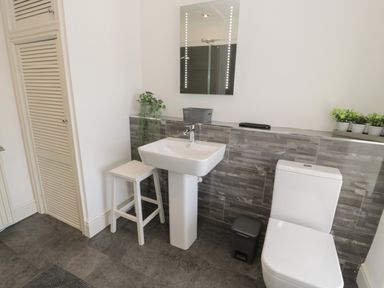 A bathroom with a white sink and toilet next to tiles and plants at Minffordd in Trawsfynydd