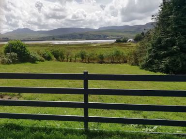 A fenced grassy field with shrubs and trees overlooking a body of water and hills at Minffordd in Trawsfynydd