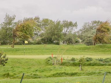 A golf course with a yellow flag and trees bent by the wind at Number 8 Lakes View in Brean