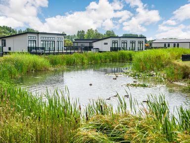 A pond with ducks and water plants in front of modern houses with large windows at Number 8 Lakes View in Brean