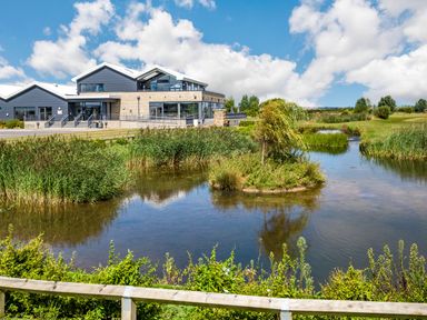 A building next to a pond with grassy areas and trees at Number 8 Lakes View in Brean