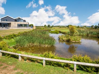 A building next to a pond with vegetation and a grassy area at Number 8 Lakes View in Brean