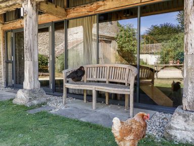An outdoor wooden bench with a black chicken sitting on it and a brown chicken on the grass in front of glass doors at Tinkley Cottage in Nympsfield near Nailsworth