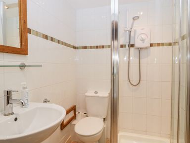 A bathroom with a sink a toilet and a shower unit at Tinkley Cottage in Nympsfield near Nailsworth