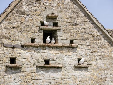 A stone building wall with multiple small square openings and white pigeons perched on the ledges
