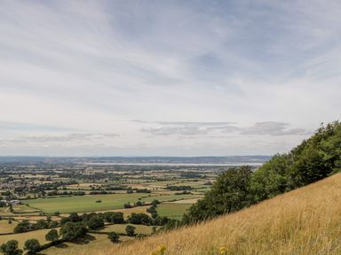 A countryside landscape with fields and trees viewed from a hillside at Tinkley Cottage in Nympsfield near Nailsworth