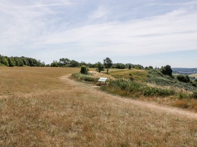 A grassy field with a dirt path and trees in the distance at Tinkley Cottage in Nympsfield near Nailsworth