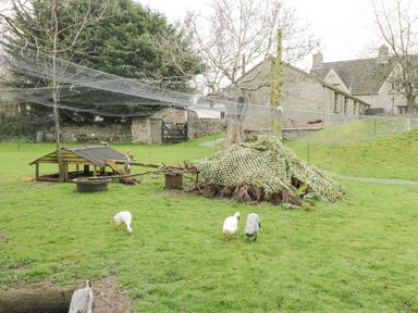 An outdoor pen with grass ducks a small wooden shelter a net above and stone buildings in the background at Orchard House Cottage in Malmesbury