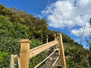 An outdoor wooden handrail along stone steps surrounded by green bushes under a blue sky