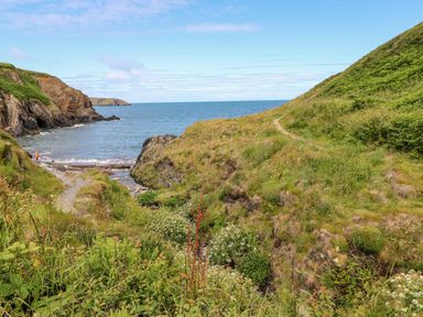 A coastal path with grassy hills and rocks leading to the sea at Chalfonts Cottage in Trefin near Penparc