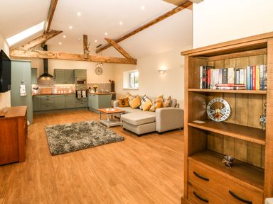 An open plan kitchen and living area with green cabinets a gray sofa with pillows a wooden bookshelf and exposed ceiling beams at Y Felin The Granary in Caernarfon