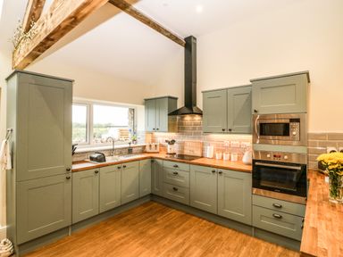 A kitchen with green cabinets wooden countertops and stainless steel appliances at Y Felin The Granary in Caernarfon