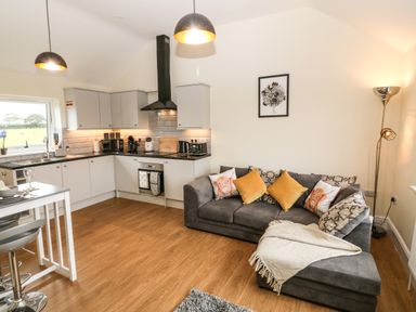 A kitchen with gray cabinets and appliances next to a living area with a gray sofa and yellow and patterned cushions at Ty Gwair The Hayloft in Caernarfon